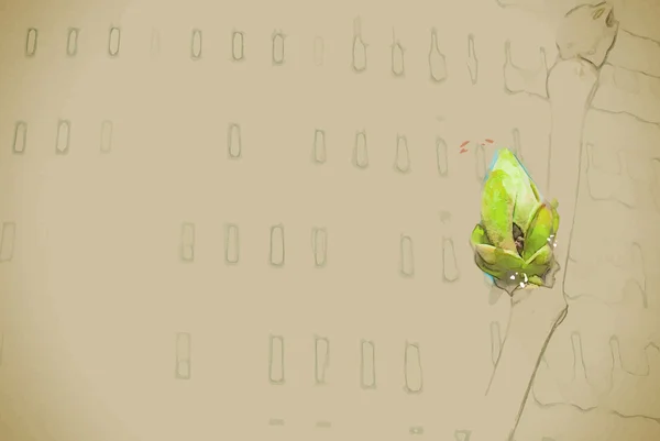 Foto vívida de botões verdes contra prédio de escritórios na primavera . — Vetor de Stock