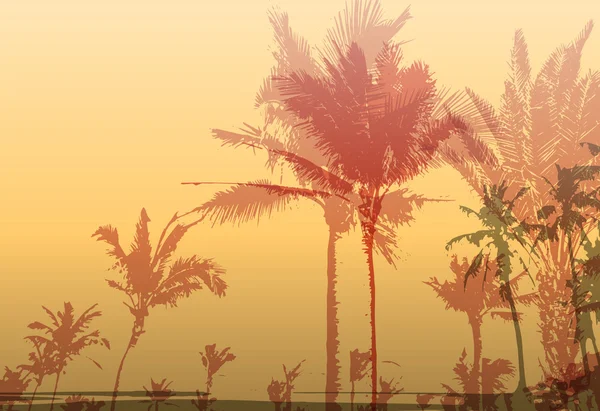 Palm Tree Print — Stock vektor