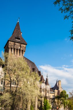 Vajdahunyad castle