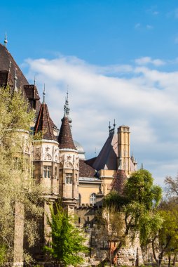 Vajdahunyad castle