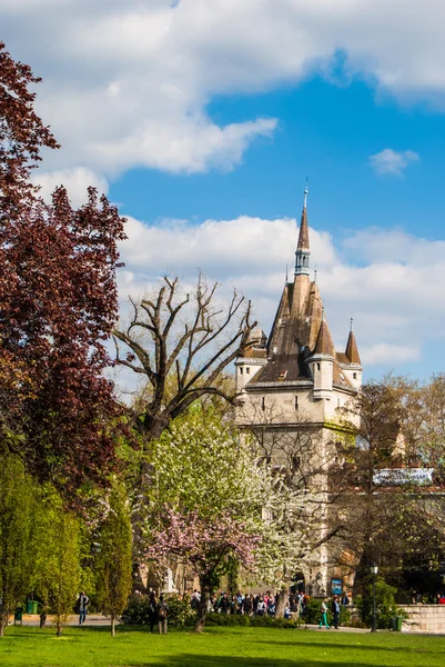 Vajdahunyad Castle — Stock Photo, Image