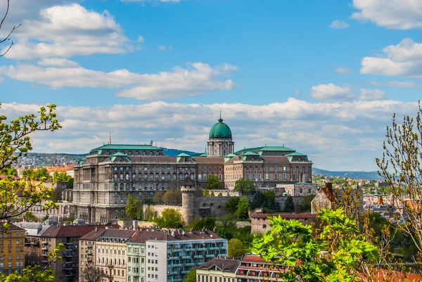 Budapeşte 'deki buda kalesi — Stok fotoğraf