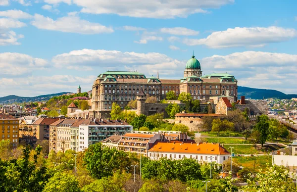 Castillo de Buda en budapest —  Fotos de Stock