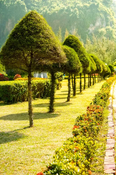 Siepi vicino alla baia di Cat Ba, Vietnam — Foto Stock