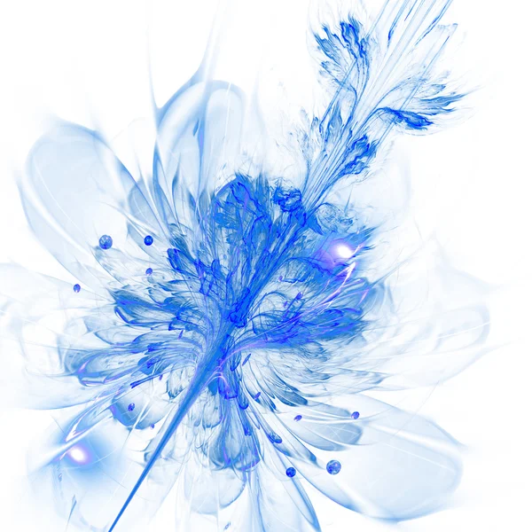 Fraktální květ — Stock fotografie