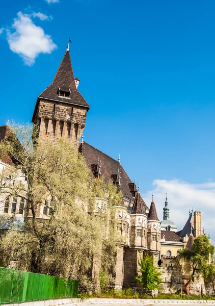 Vajdahunyad Castle — Stock Photo, Image