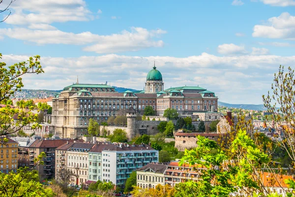 Buda Castle in Budapest — Stock Photo, Image