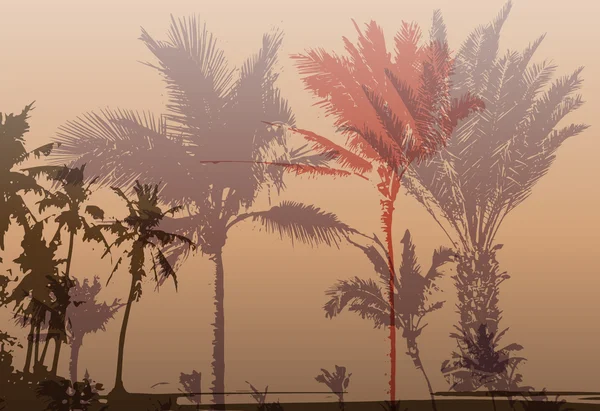 Impression palmier — Image vectorielle