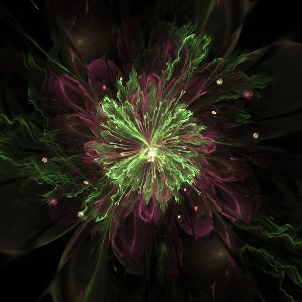 Fractal flower — Stock Photo, Image