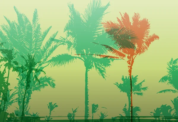 Palm Tree Print — Stock vektor