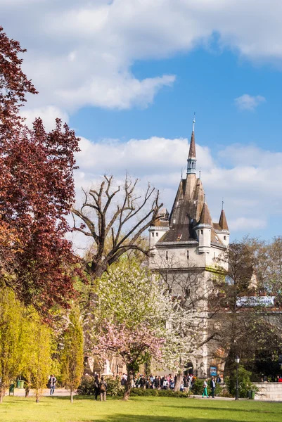 Vajdahunyad Castle — Stock Photo, Image