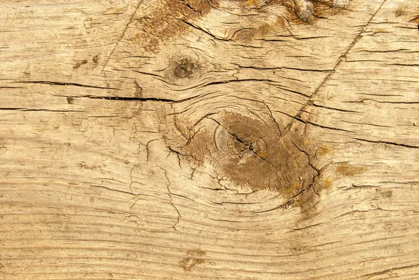Vecchie assi di legno squallido — Foto Stock