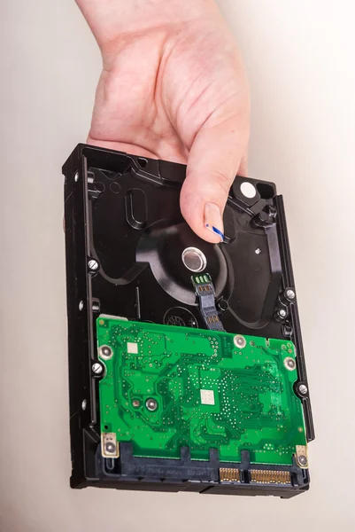 Female hand with Hard Drive on white — Stock Photo, Image