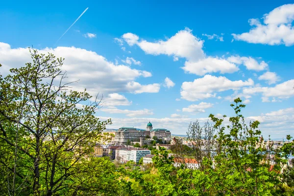 ブダペストのブダ城 — ストック写真
