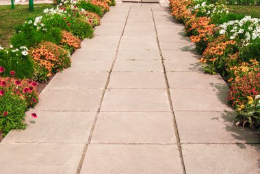 çeşitli çiçekler