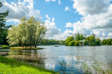 Willows, güzel Rus yatay