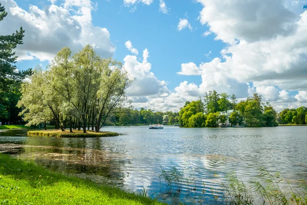 Piękny krajobraz rosyjski z wierzby — Zdjęcie stockowe