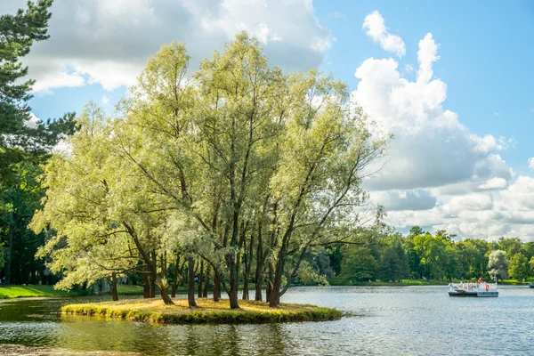 Bellissimo paesaggio russo con salici — Foto Stock