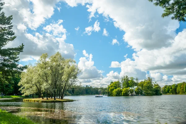 Mooie Russische landschap met willows — Stockfoto