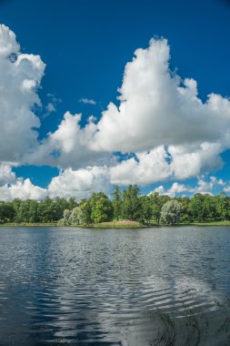 Willows, güzel Rus yatay