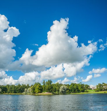 Willows, güzel Rus yatay