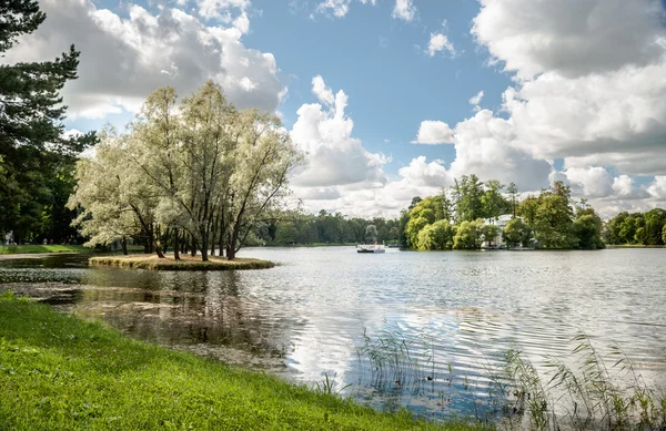 Гарний Російська краєвид з willows — стокове фото