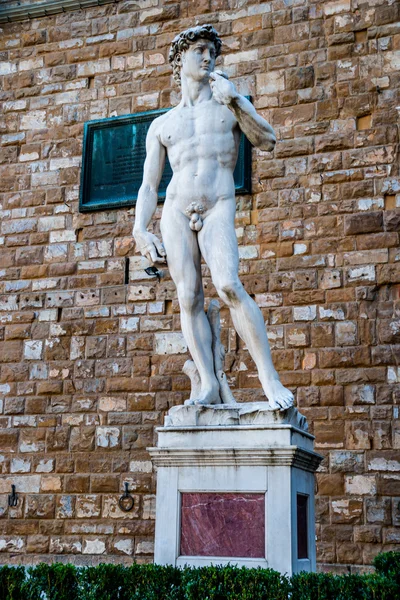 David por michelangelo — Fotografia de Stock