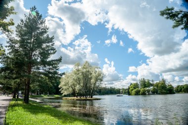 Willows, güzel Rus yatay