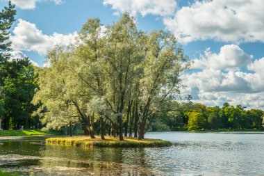 Willows, güzel Rus yatay