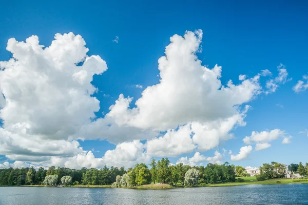 Bellissimo paesaggio russo con salici — Foto Stock