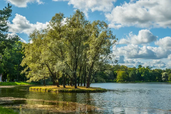 Bellissimo paesaggio russo con salici — Foto Stock