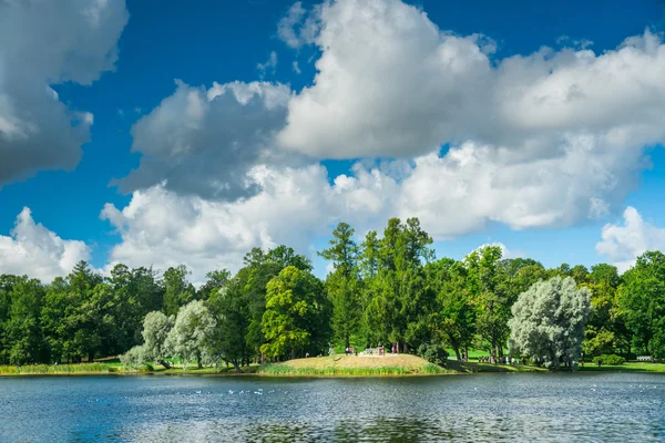 Bellissimo paesaggio russo con salici — Foto Stock