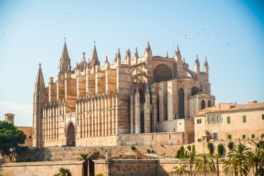 Palma de Mallorca Katedrali.