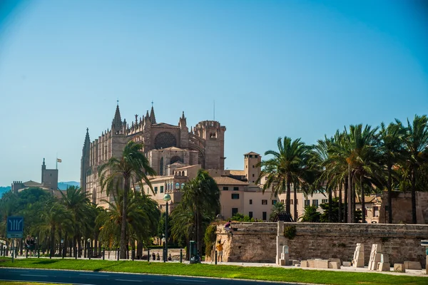 Catedral de Palma de Mallorca. —  Fotos de Stock