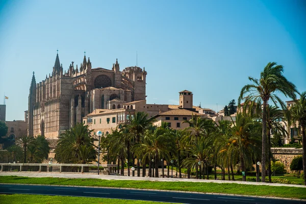 Cathedral of Palma de Mallorca. — Stock Photo, Image