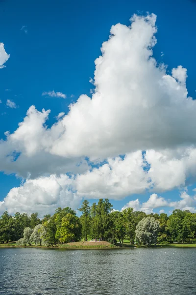 Bellissimo paesaggio russo con salici — Foto Stock