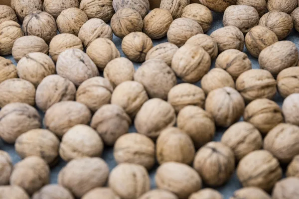 Un montón de nueces . — Foto de Stock