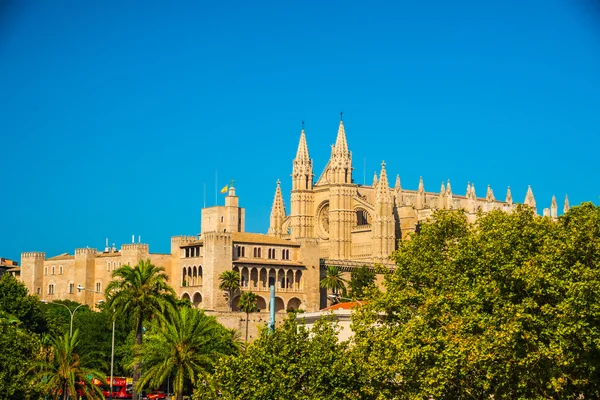 Cathedral of Palma de Mallorca. — Stock Photo, Image