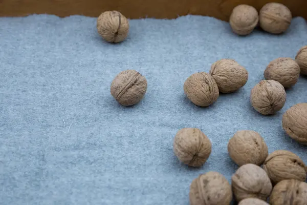 Un montón de nueces . — Foto de Stock