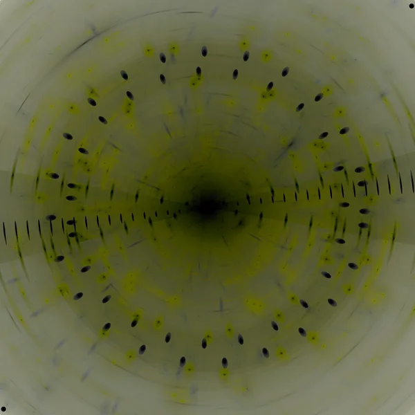 추상 방사형 배경 — 스톡 사진