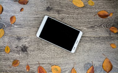 Gadget'ı ahşap ve yaprakları