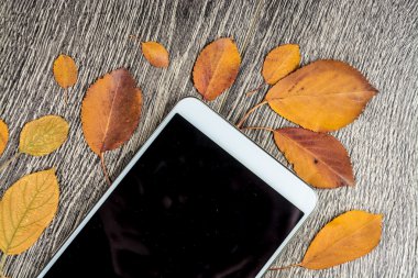 Gadget'ı ahşap ve yaprakları