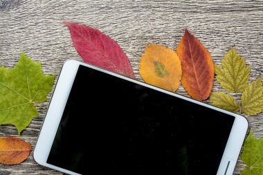 Gadget'ı ahşap ve yaprakları