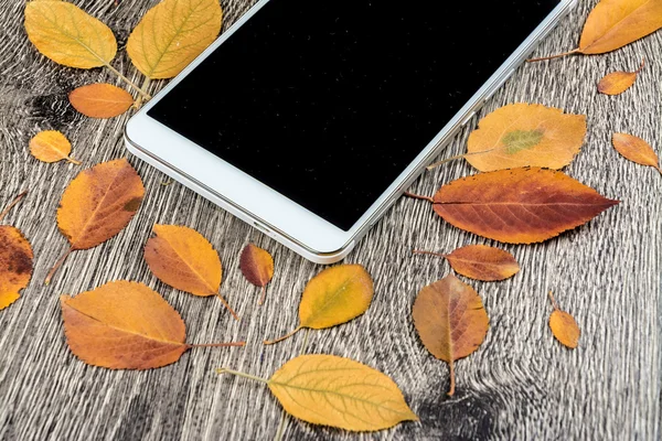 Gadget on wood and leaves — Stock Photo, Image