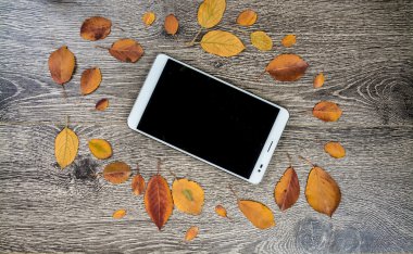 Gadget'ı ahşap ve yaprakları