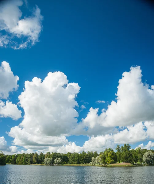 Bellissimo paesaggio russo con salici — Foto Stock