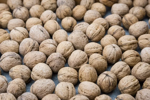 Spousta vlašských ořechů. — Stock fotografie