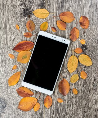 Gadget'ı ahşap ve yaprakları