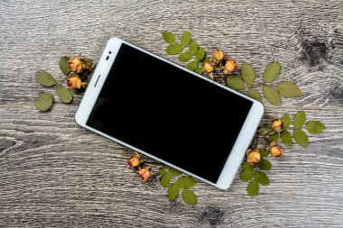 Gadget'ı ahşap ve yaprakları