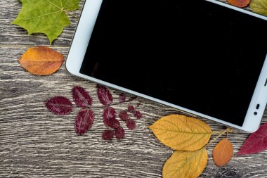 Gadget'ı ahşap ve yaprakları